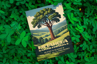 Metahqua Nature Preserve Print
