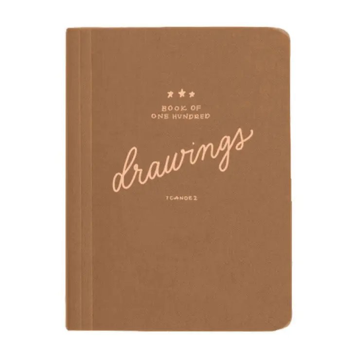 100 Drawings Journal