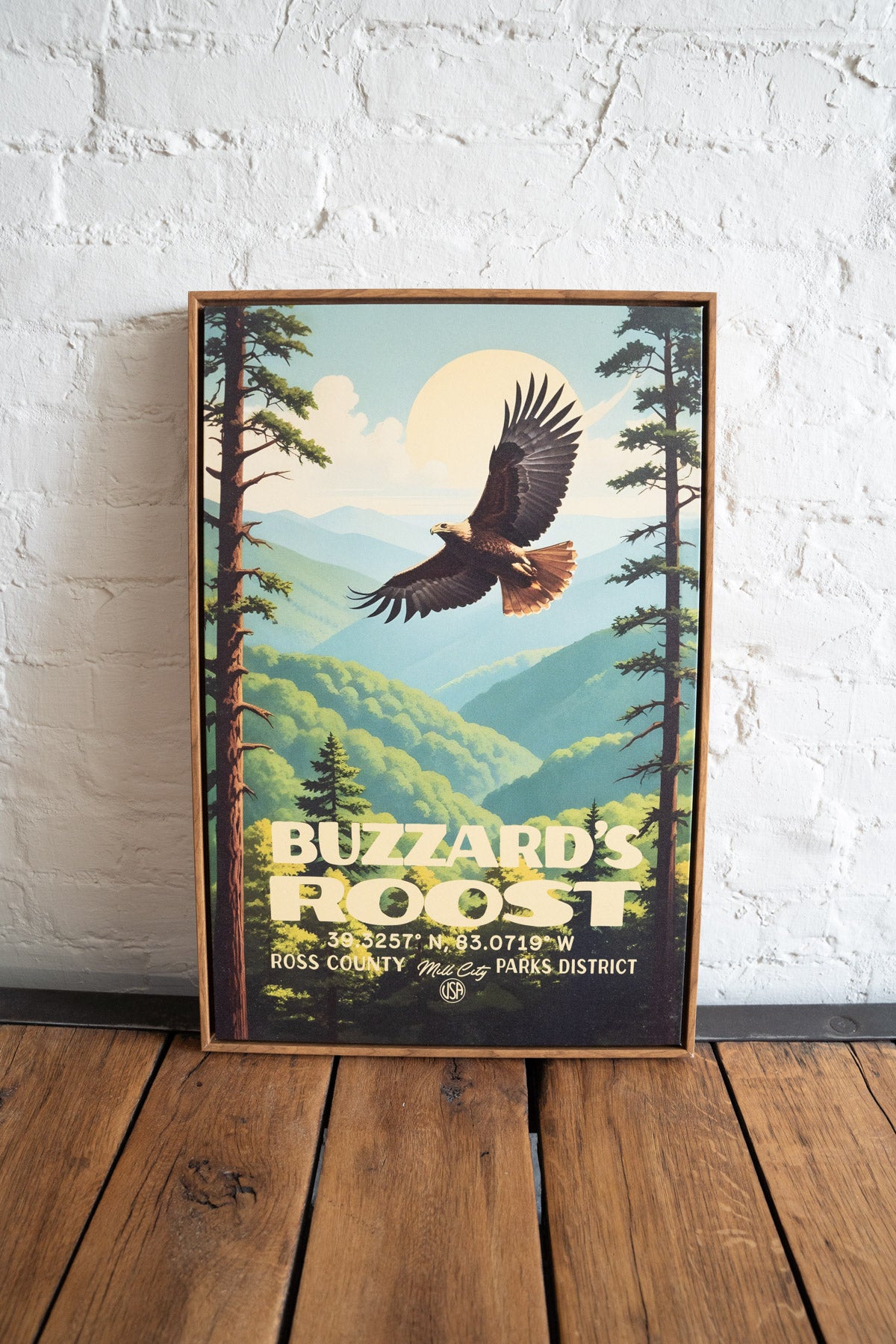 Buzzard's Roost Framed Canvas