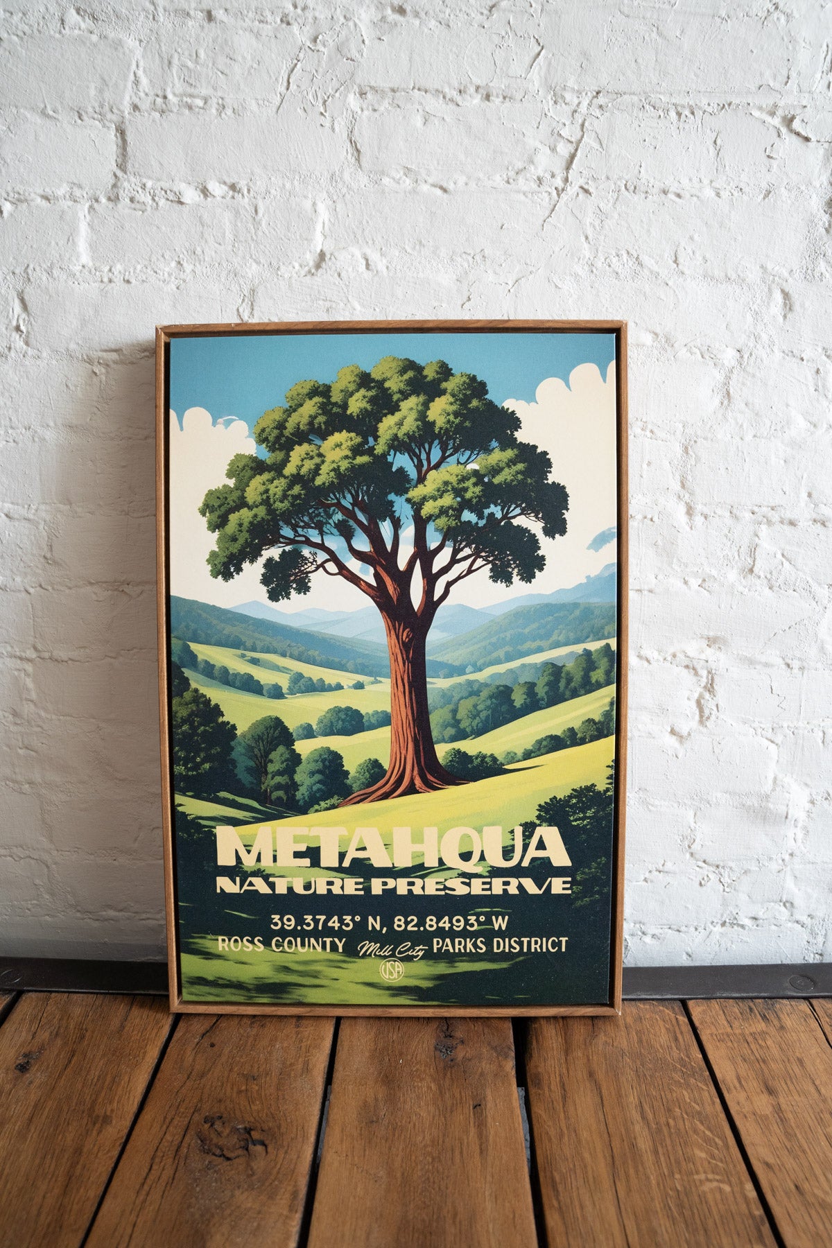 Metahqua Nature Preserve Framed Canvas