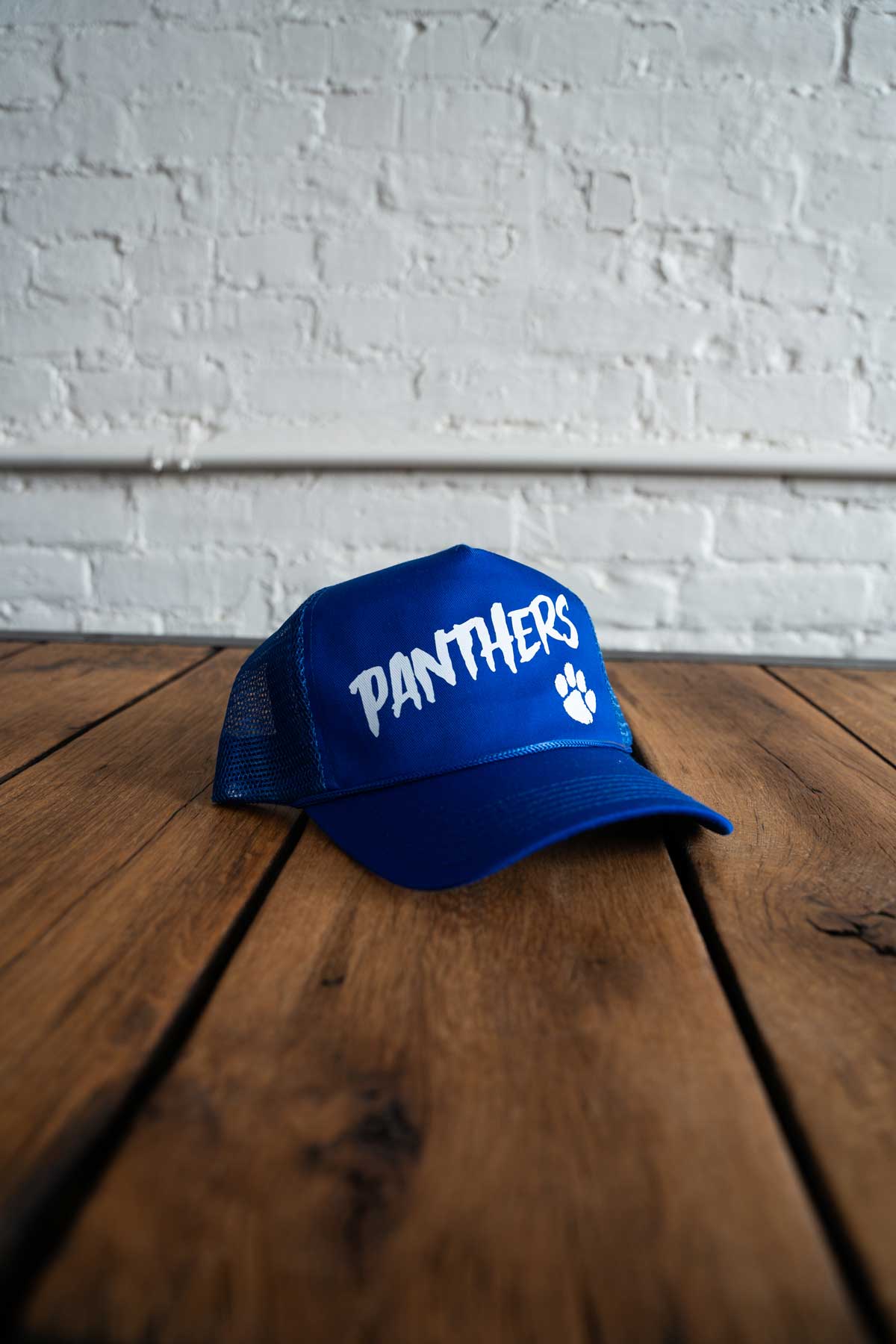 SE Panthers Hat